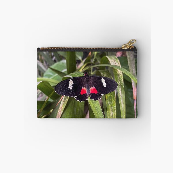 Artikelvorschau, Bürstenfuß-Schmetterling entworfen und verkauft von RJW Images.