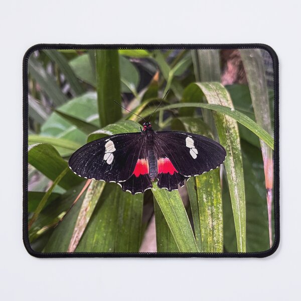 Item preview, Brushfooted Butterfly designed and sold by RJW Images.