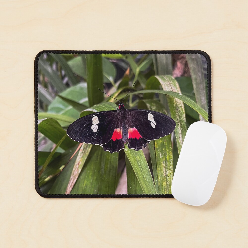 Item preview, Mouse Pad designed and sold by RJWImages.