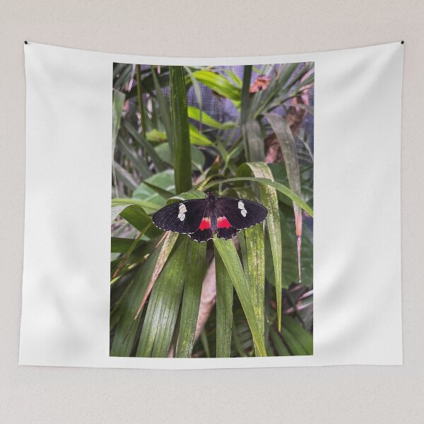 Item preview, Brushfooted Butterfly designed and sold by RJW Images.