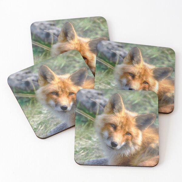 Item preview, Red Fox designed and sold by Kathy Weaver.