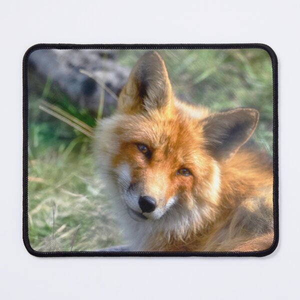 Item preview, Red Fox designed and sold by Kathy Weaver.