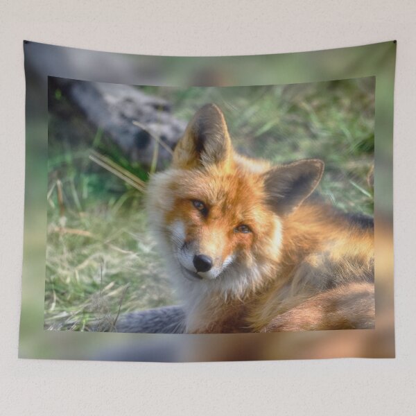 Item preview, Red Fox designed and sold by Kathy Weaver.