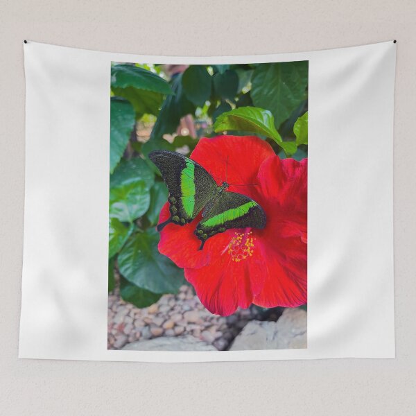 Item preview, Emerald Peacock Swallowtail Butterfly designed and sold by RJW Images.