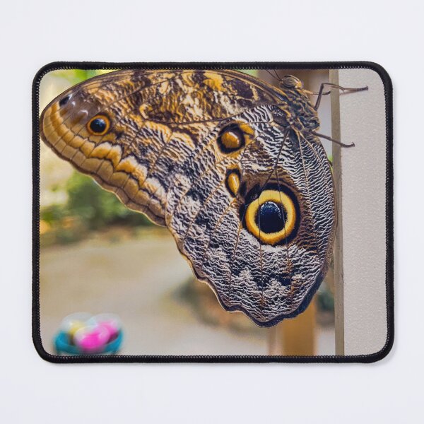 Item preview, Owl butterfly designed and sold by RJW Images.