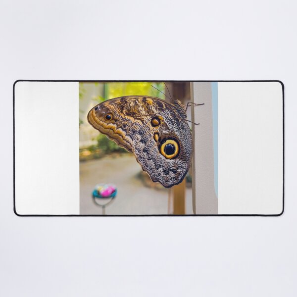 Item preview, Owl butterfly designed and sold by RJW Images.