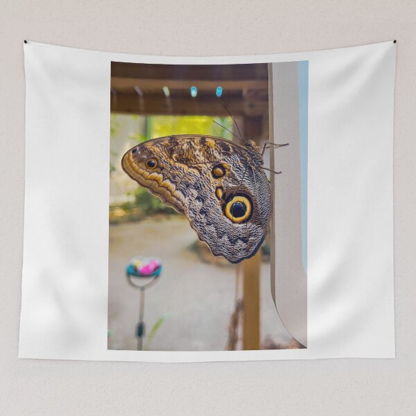Item preview, Owl butterfly designed and sold by RJW Images.