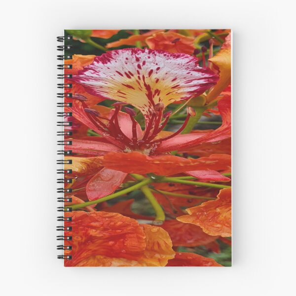 Item preview, Vibrant Tropical Flowers designed and sold by KathyCreates61.