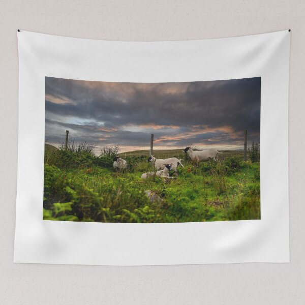 Item preview, Greenock Sunset Sheep designed and sold by RJW Images.