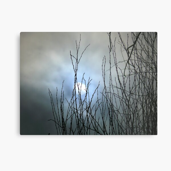 Untitled Metal Print
