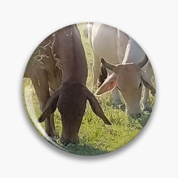 Item preview, Cows grazing  designed and sold by XOCH2024.