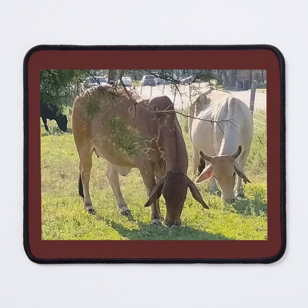 Item preview, Cows grazing  designed and sold by XOCH2024.