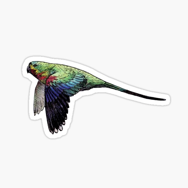 Vista previa del artículo con la obra «Swift Parrot», diseñado y vendido por CandelaRiveros.
