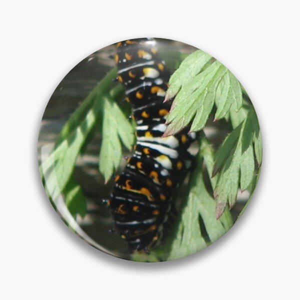 Item preview, Caterpiller designed and sold by IndyLady.