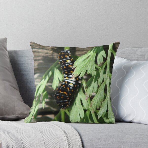 Item preview, Caterpiller designed and sold by IndyLady.