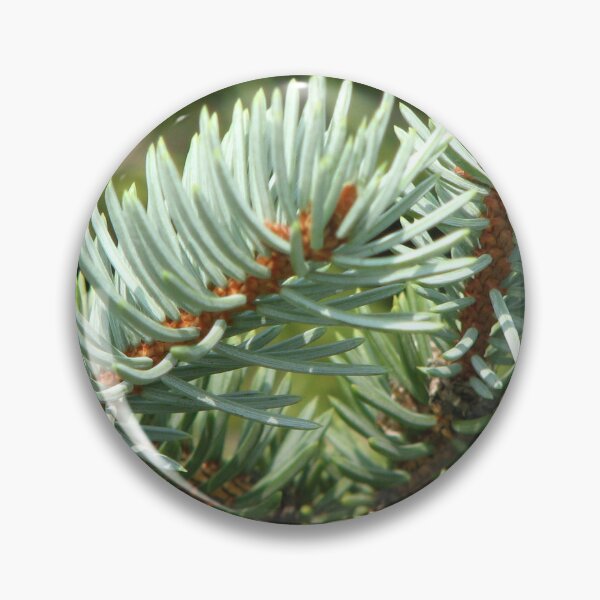 Item preview, Blue Spruce designed and sold by IndyLady.