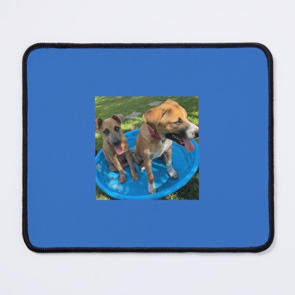 Item preview, Doggie bath designed and sold by XOCH2024.