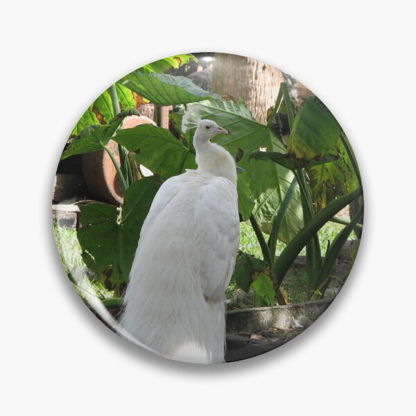 Item preview, Pavo real blanco designed and sold by IndyLady.