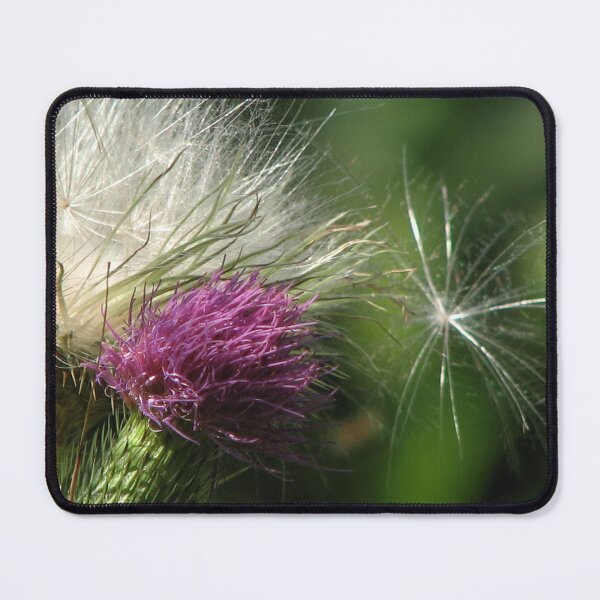 Item preview, Thistle designed and sold by IndyLady.