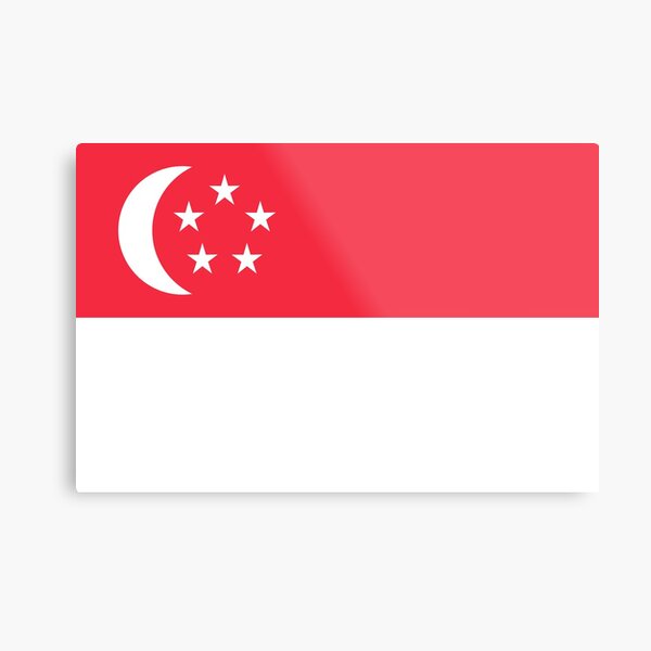 Singapore Flag- Design based on the Singapore flag! Metal Print