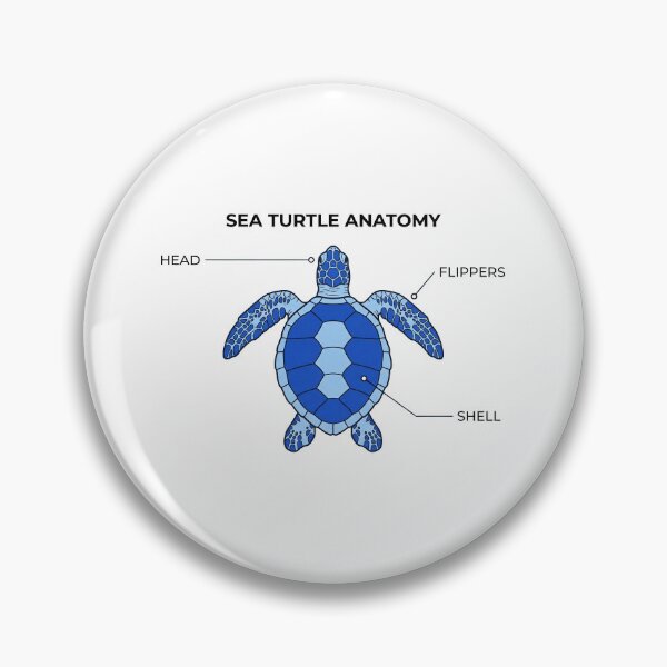 Item preview, Sea Turtle Anatomy Scientific Diagram with Clean Labels and Educational Style designed and sold by zoughlal.