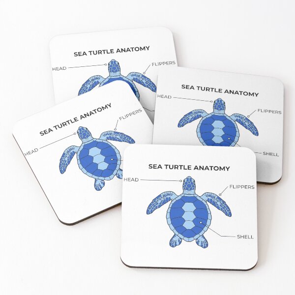 Item preview, Sea Turtle Anatomy Scientific Diagram with Clean Labels and Educational Style designed and sold by zoughlal.