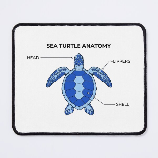 Item preview, Sea Turtle Anatomy Scientific Diagram with Clean Labels and Educational Style designed and sold by zoughlal.