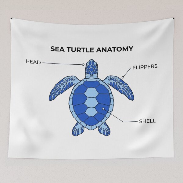 Item preview, Sea Turtle Anatomy Scientific Diagram with Clean Labels and Educational Style designed and sold by zoughlal.
