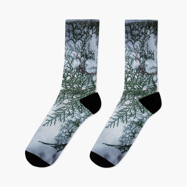 Item preview, Thuja branch close up in a snowy park designed and sold by Enerjetal.