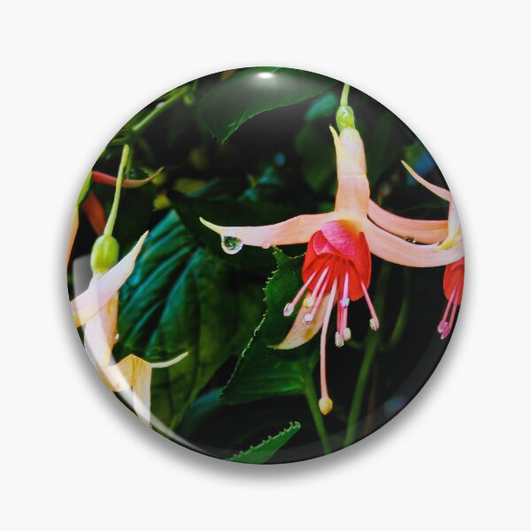 Artikelvorschau, Fuchsia-Tropfen entworfen und verkauft von Steve Walser.