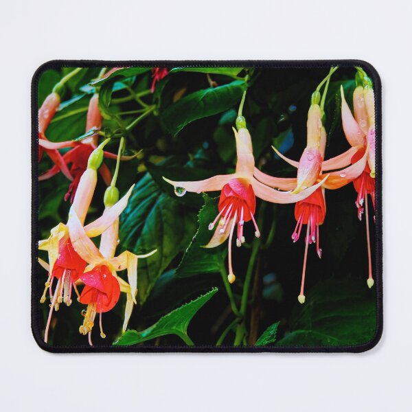 Item preview, Fuchsia Drips designed and sold by Steve Walser.