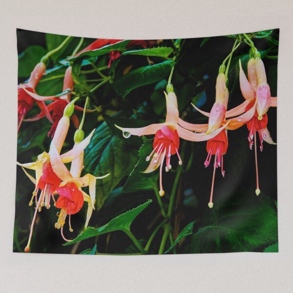 Item preview, Fuchsia Drips designed and sold by Steve Walser.