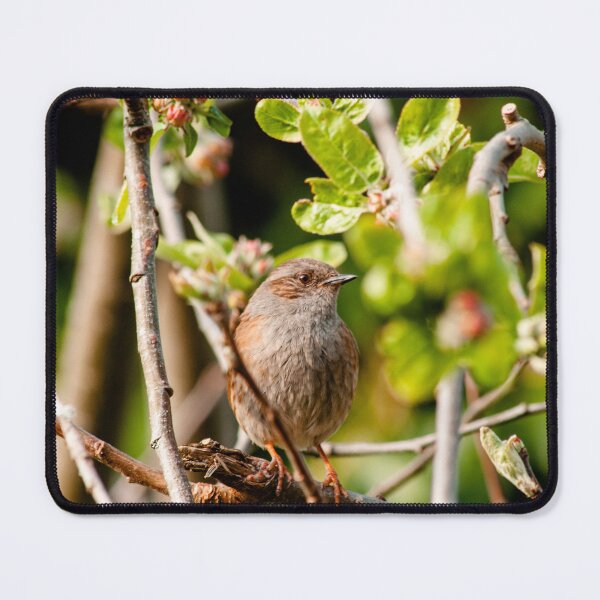 Item preview, British Bird designed and sold by Izzy-printz.