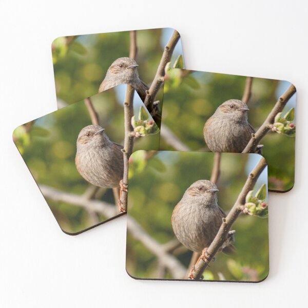 Item preview, Bird designed and sold by Izzy-printz.