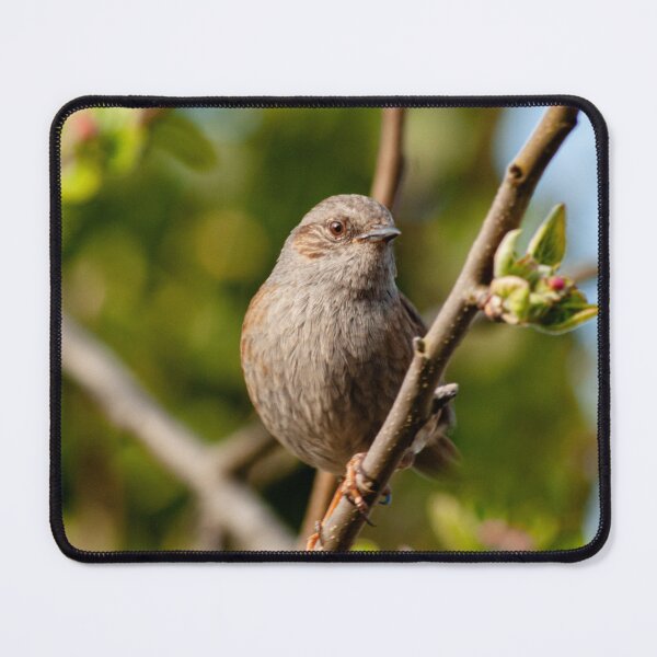 Item preview, Bird designed and sold by Izzy-printz.