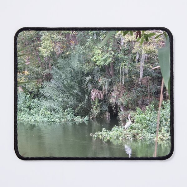 Item preview, Egret by Lake with Lush Foliage designed and sold by CoastalCalmCo.
