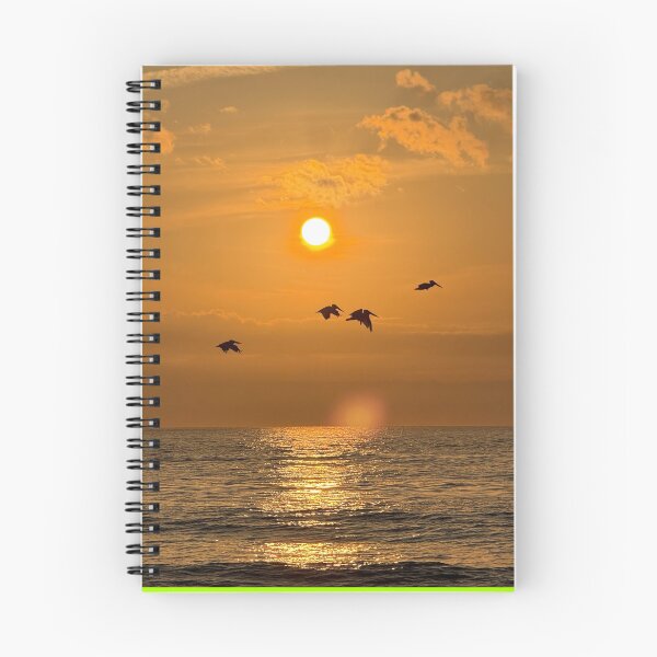 Item preview, Pelicans in flight at dawn designed and sold by jimisimij.