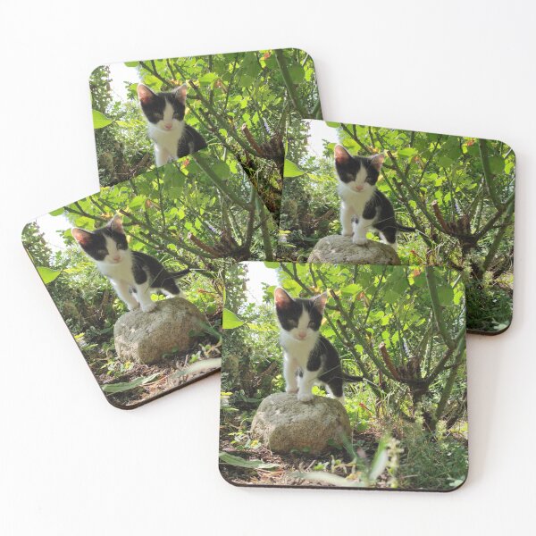 Item preview, Small cat on stone designed and sold by Gourmetkater.