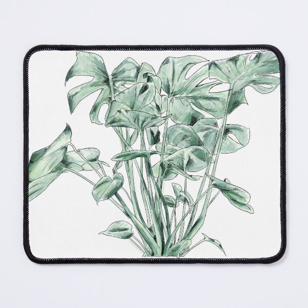 Item preview, Botanical Monstera Study Watercolor Art designed and sold by Nathan Graves Art.