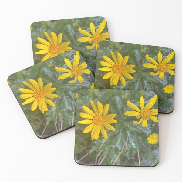 Item preview, Yellow daisies designed and sold by TcDorsey88.