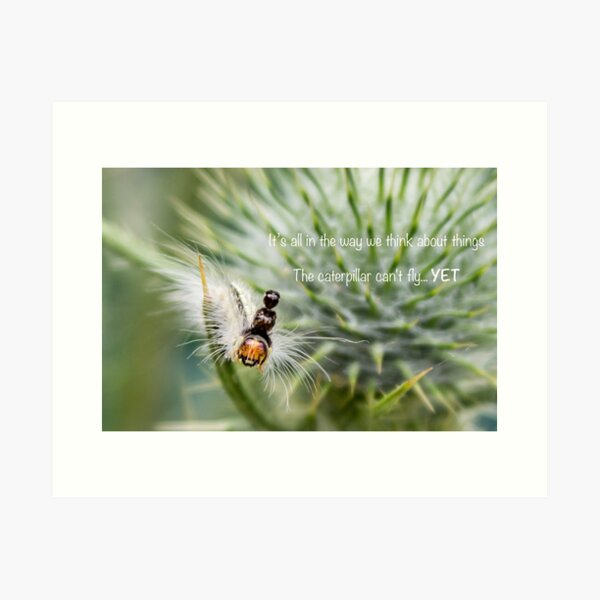 The Caterpillar can't fly YET Art Print