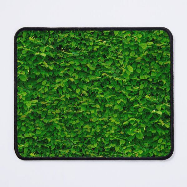 Artikelvorschau, Pflanzen, Grün, Wachsen, Foto, Aufkleber, Magnet, Tasse, Schreibwaren, Drucke, Wandbilder, Redbubble-Shop, Arbeit, Schule entworfen und verkauft von Saritas Boutique Shop.