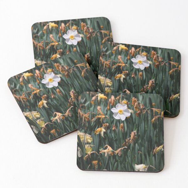 Item preview, Daffodil Flower Photograph designed and sold by aecloutier.