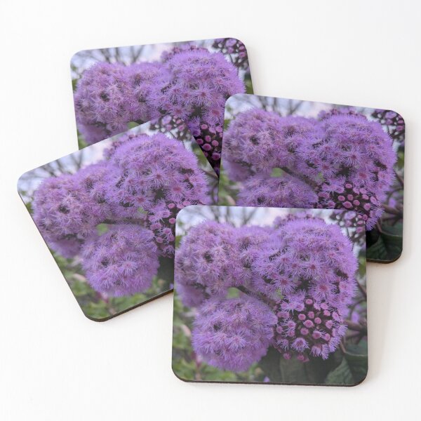 Item preview, Blue Mistflower: The Fuzzy Purple Perennial for Pollinators designed and sold by Photogenic Snap.