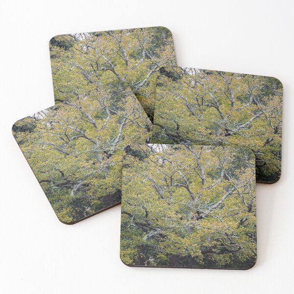 Item preview, Autumn Tree Canopy designed and sold by Shona Eagles.