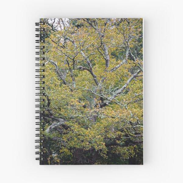 Item preview, Autumn Tree Canopy designed and sold by Shona Eagles.