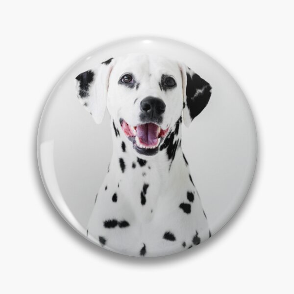Item preview, Sit Happens – Funny Dog Quote T-Shirt designed and sold by Giota29.