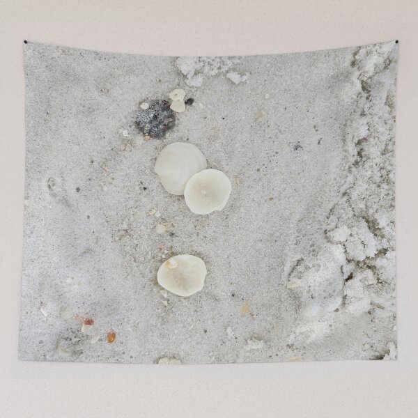 Item preview, Seashells on the Shore designed and sold by Michelle Adams.