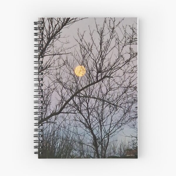 Item preview, Moonrise Surprise After Work – Faial designed and sold by OneClick-Azores.