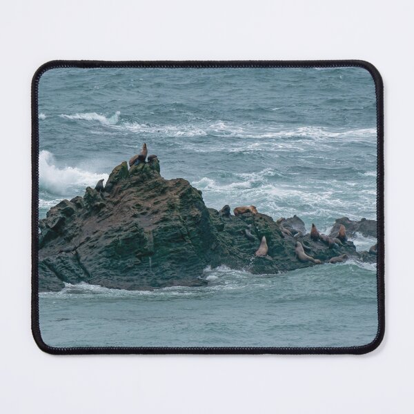 Item preview, Sea Lion pointing to the sky atop a Simpson Reef formation designed and sold by lisavonbiela.